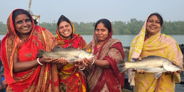 কৃত্রিম খাদ্যে খাঁচায় কোরাল মাছ চাষে বাকৃবি গবেষকের যুগান্তকারী সাফল্য